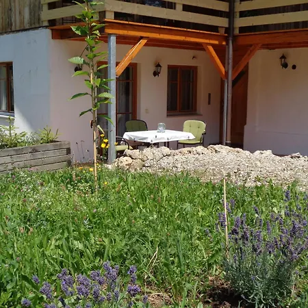 Apartment Am Waldrand, Ideal Fuer Bergsport Oberstaufen